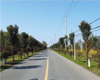  什么是公路基本建設(shè)程序？什么是公路建設(shè)項(xiàng)目經(jīng)濟(jì)評(píng)價(jià)？